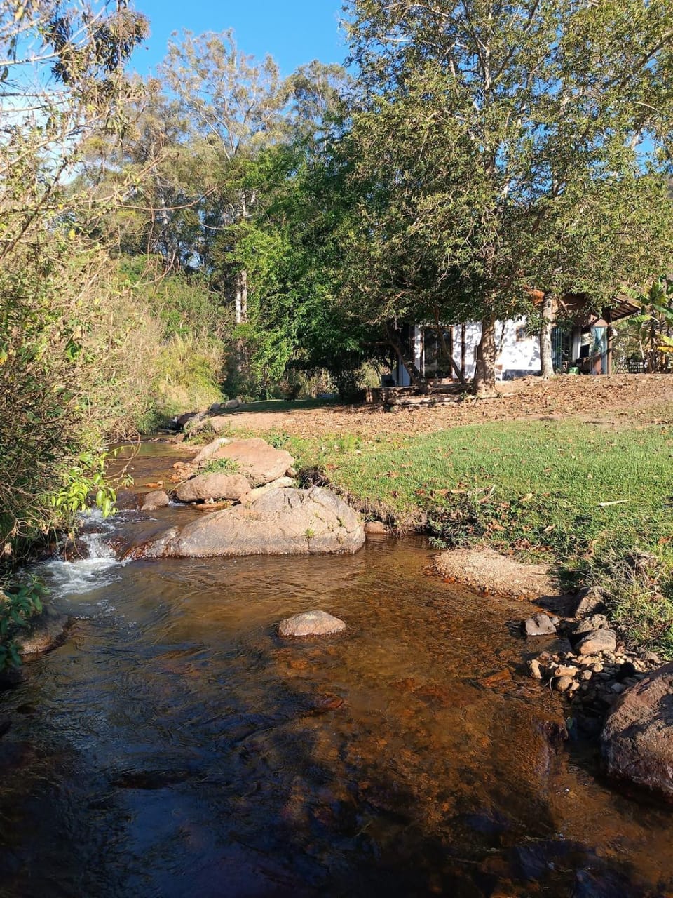 Day, Natural landscape, River view