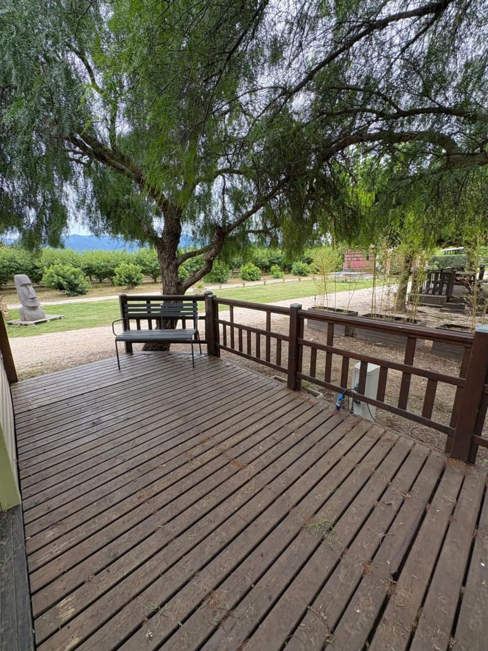 Garden view