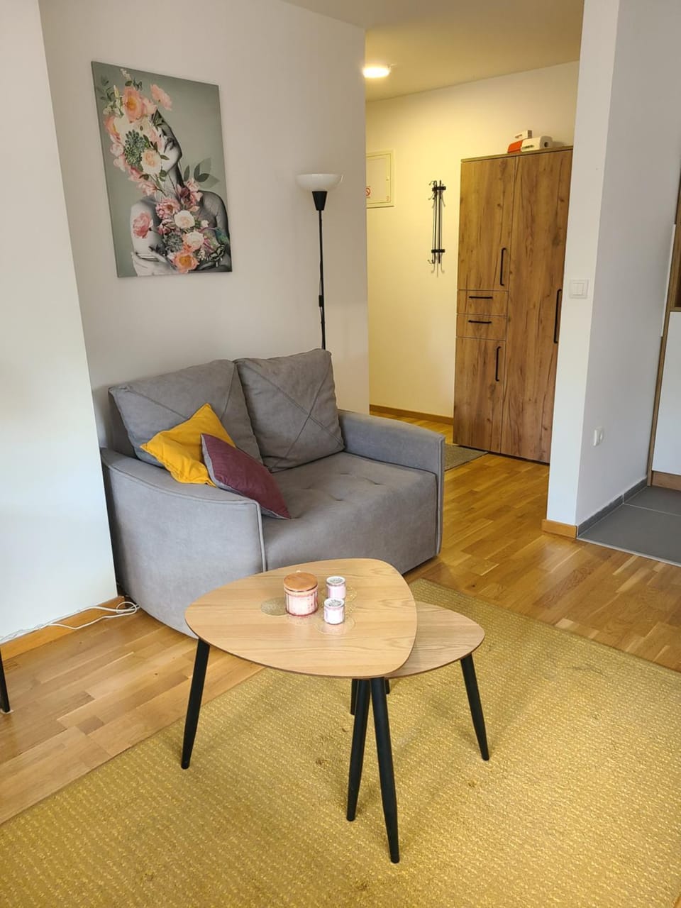 Apartman Živković Apartment in Serbia