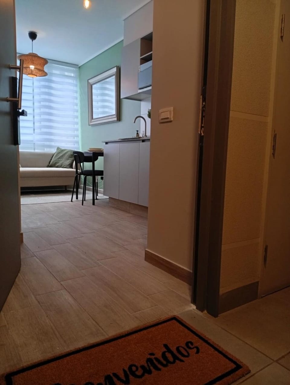 Park and Movistar Arenas D106 Apartment in Santiago