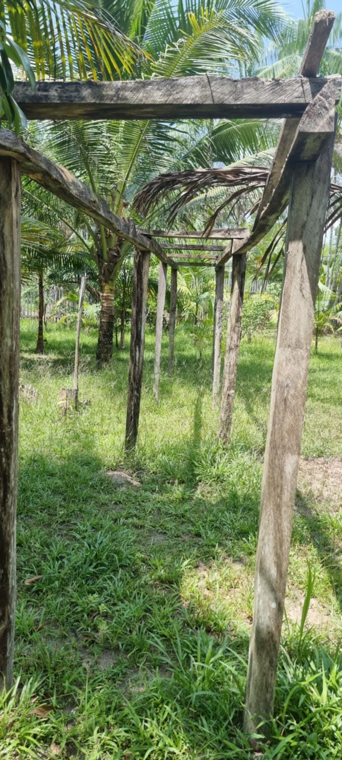 Sitio na floresta px a Belém House in State of Maranhão, Brazil
