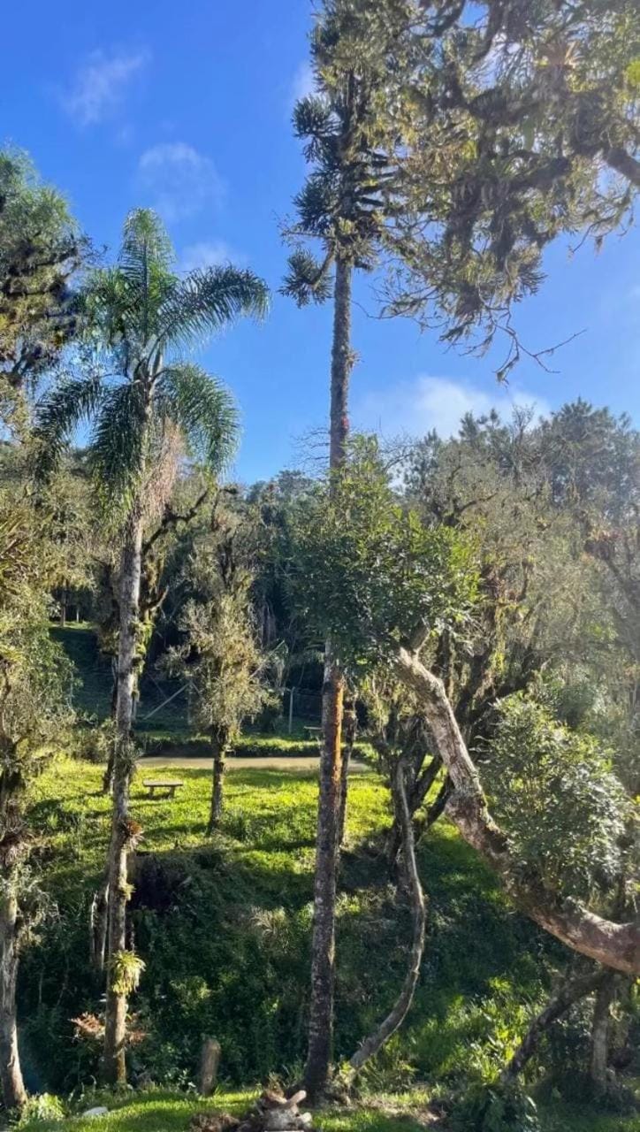 Day, Natural landscape, Garden