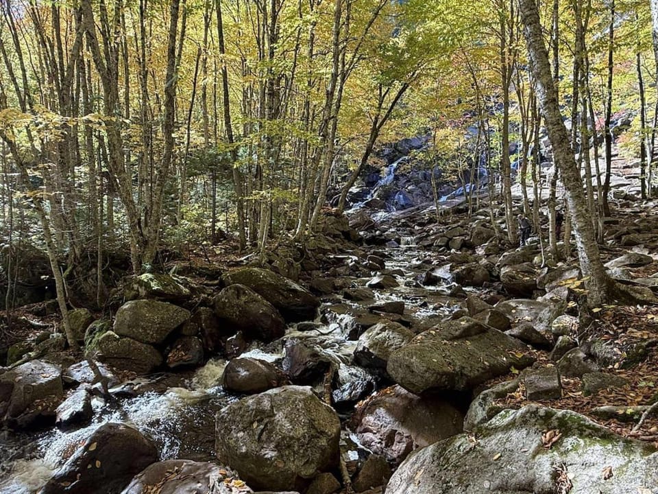 Le Nørda sur la rivière Vallée Bras du Nord Chalet in Quebec