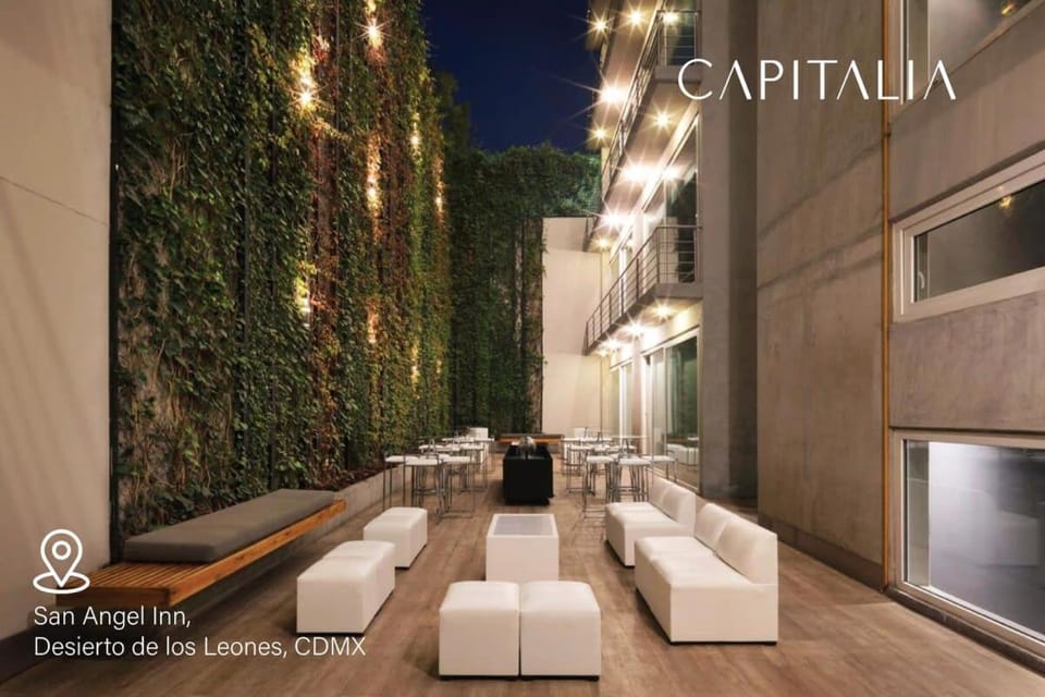 Capitalia Calm Suite Near Frida Museum with Gym House in Mexico City