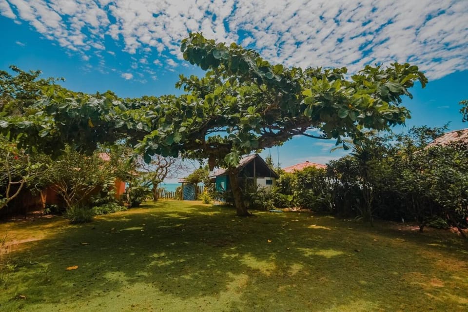 Natural landscape, Garden, Garden view