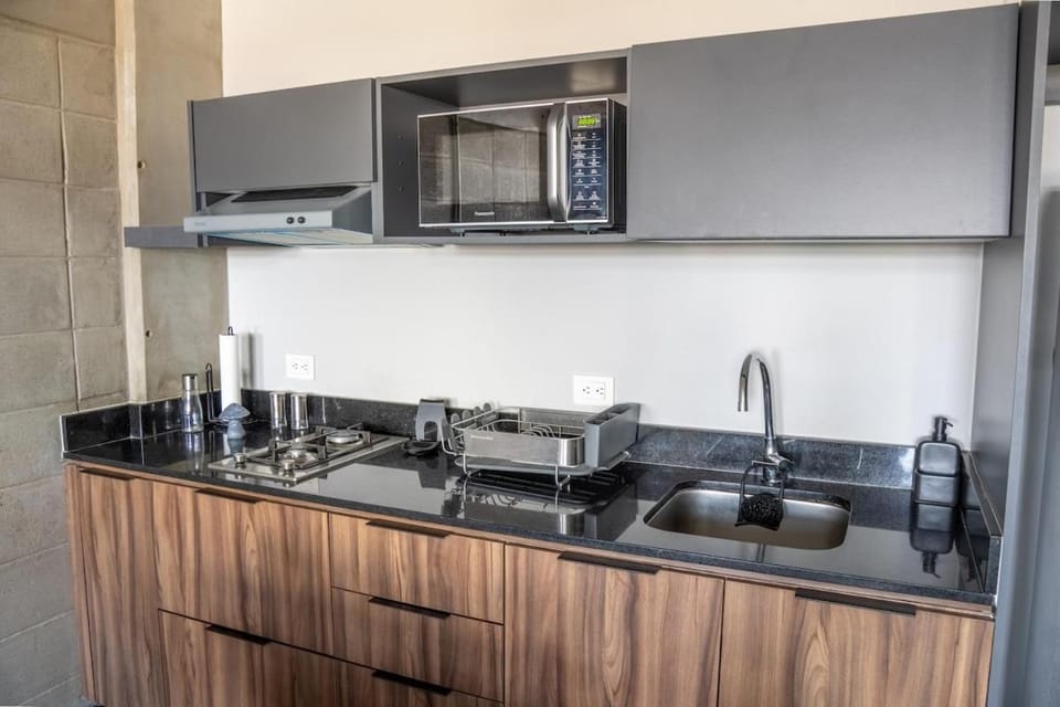LOFT Apartment Downtown Area Apartment in Tijuana