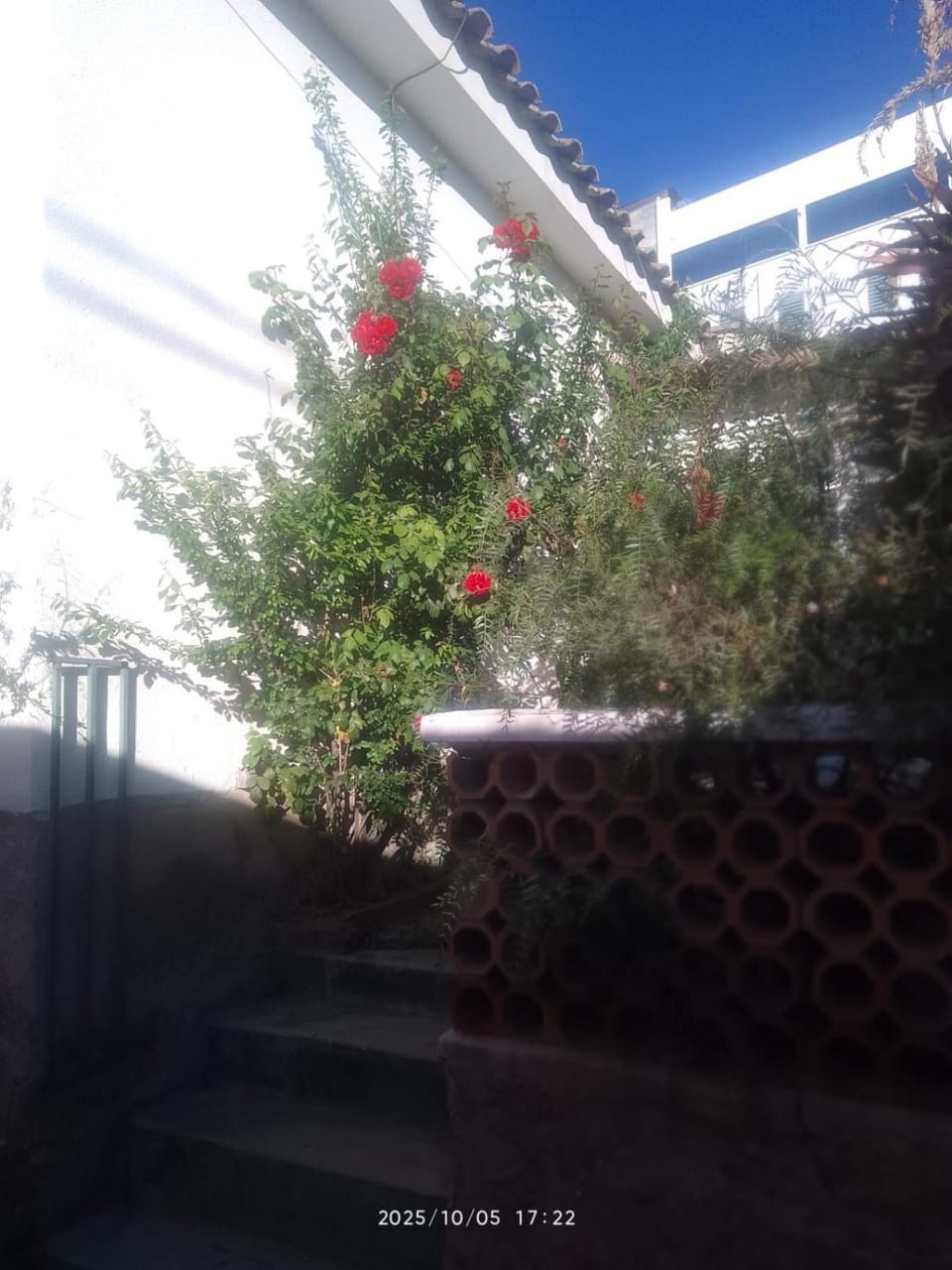 Warm and cozy housing in Obrajes - La Paz Apartment in La Paz