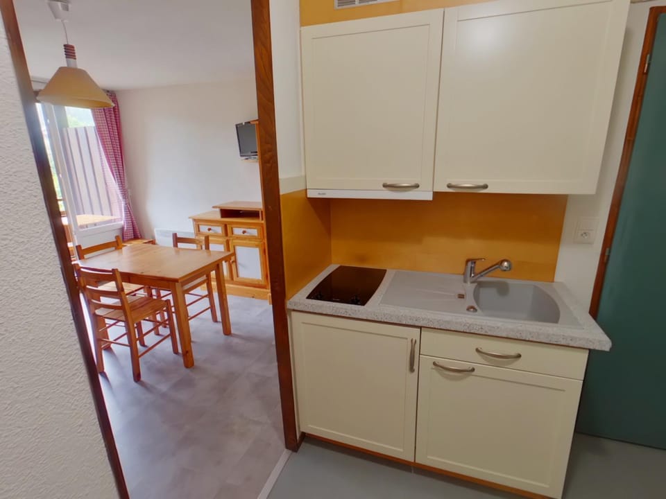 Studio lumineux avec loggia aux Rousses - FR-1-834-12 Apartment in Jura