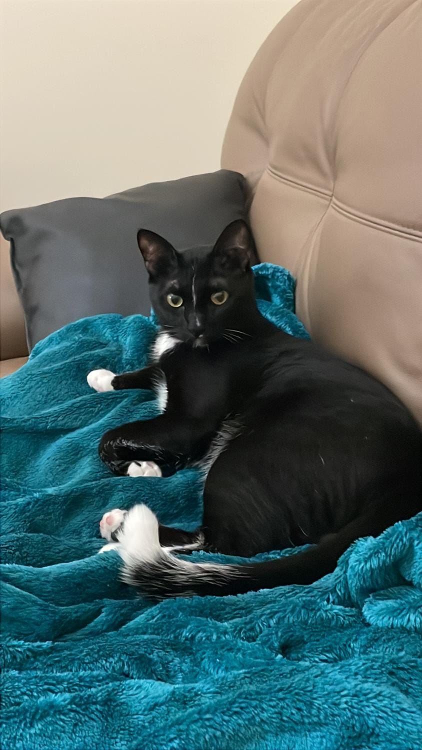 Ladies only Feel like at home, among sisters Vacation rental in Ajman