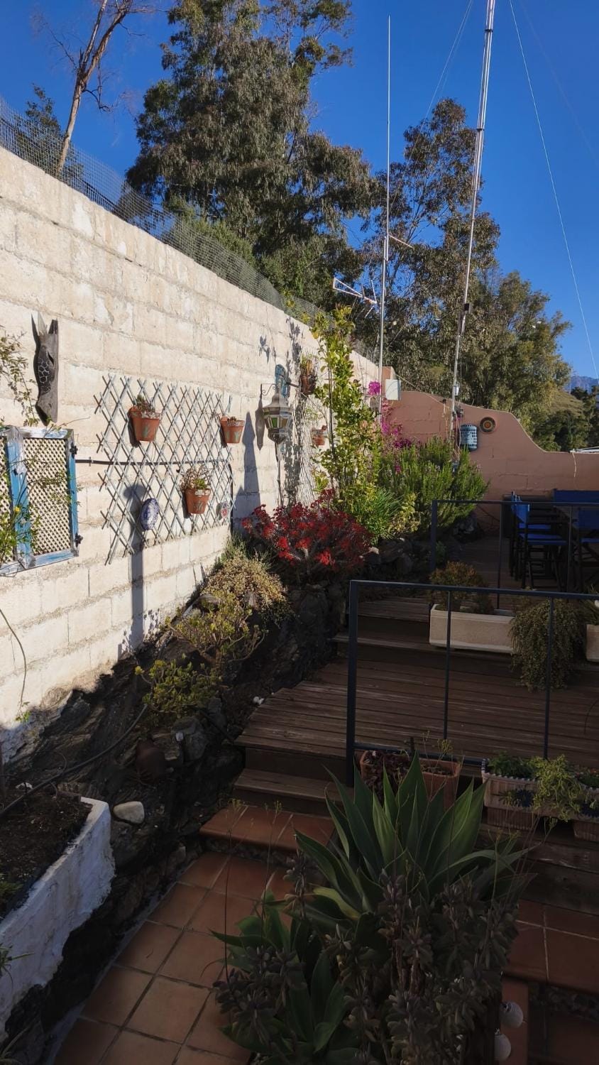 Day, Garden, Garden view
