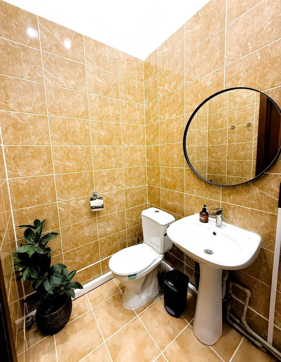 Toilet, Bathroom