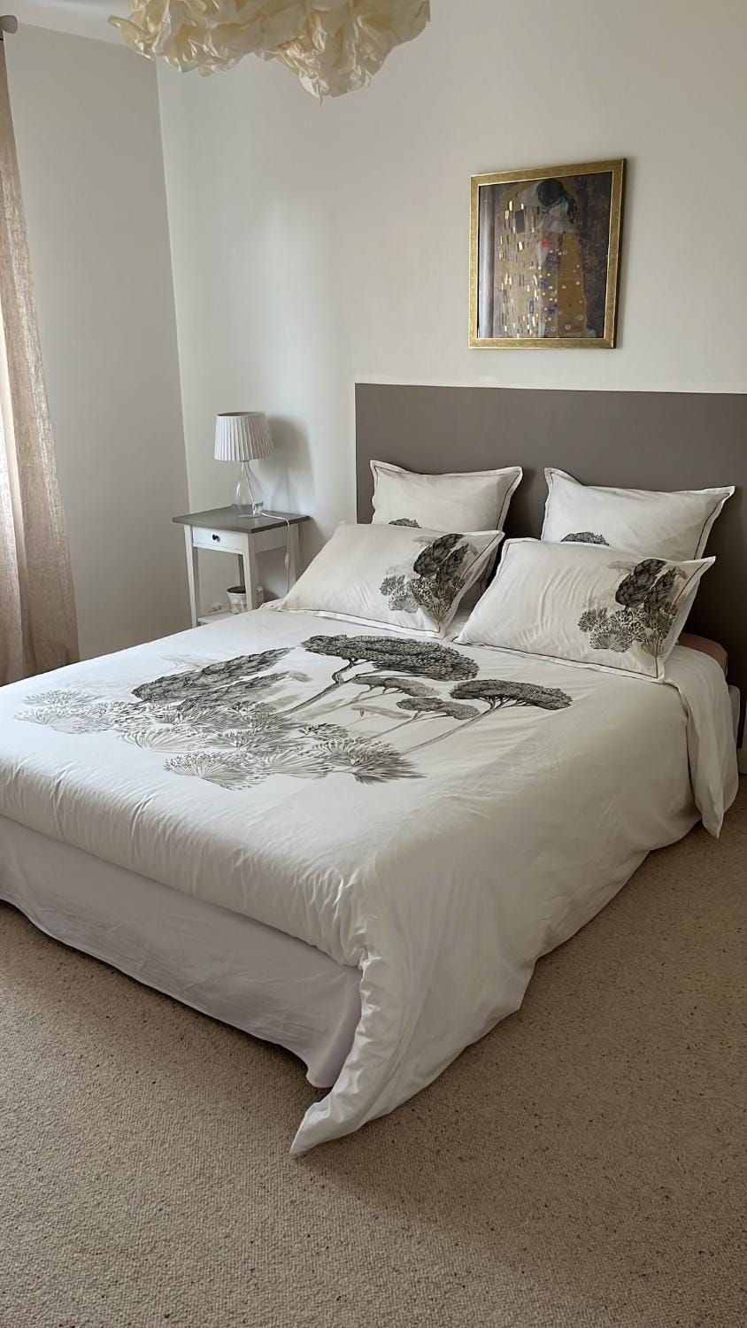 La Douce Angevine Apartment in Angers