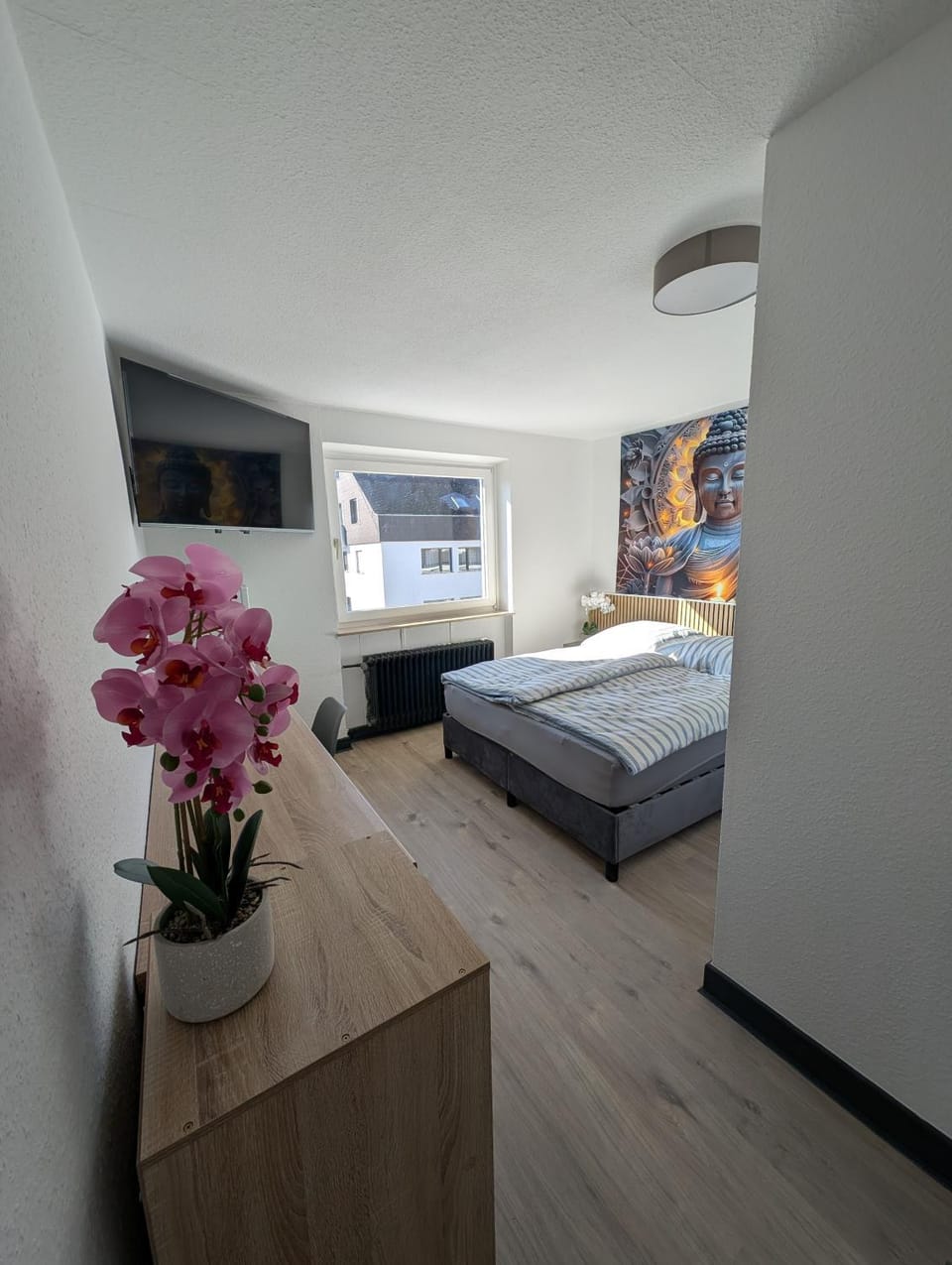 Photo of the whole room