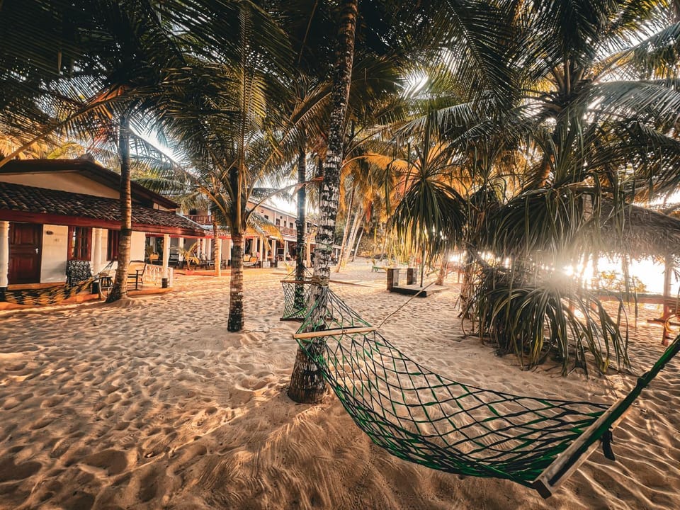 Beach, Sunrise, sunbed