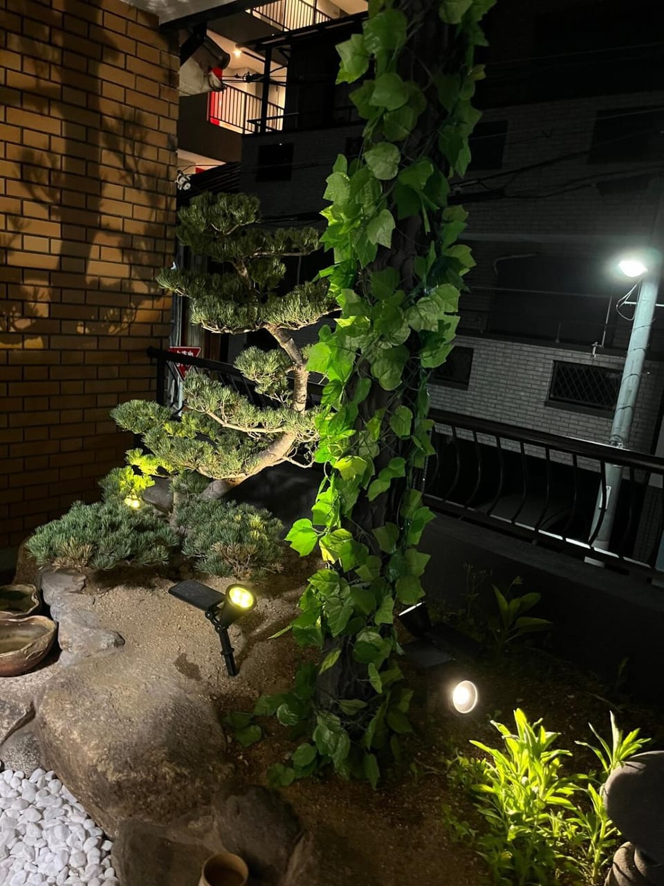Night, Garden, Garden view