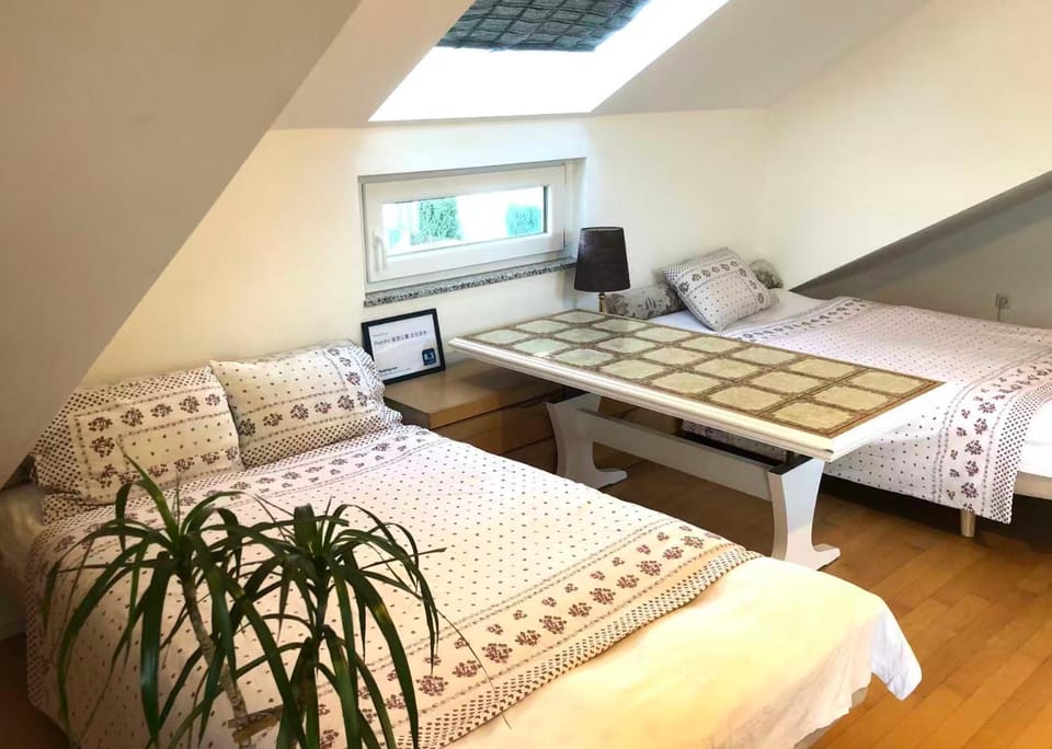 Pod-Inn 坡顶公寓-文化谷仓 Apartment in Baden-Baden
