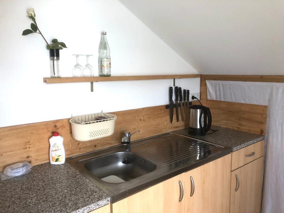 Pod-Inn 坡顶公寓-文化谷仓 Apartment in Baden-Baden