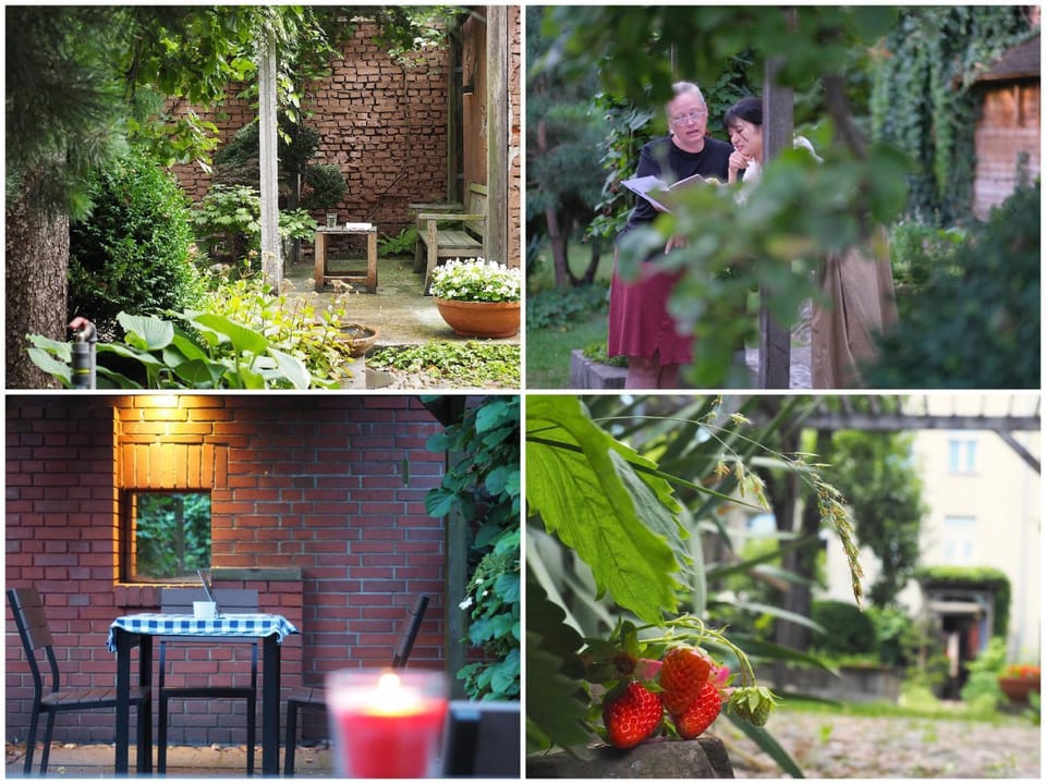 Spring, Garden, Garden view