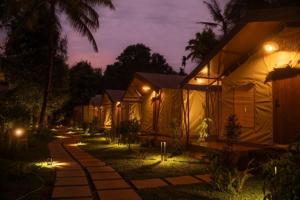 Property building, Night, Garden view