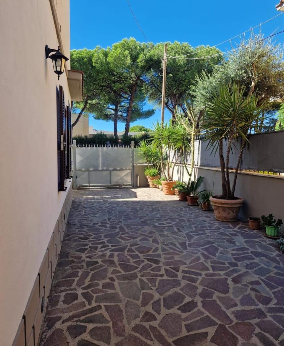 Garden, Garden view, Parking