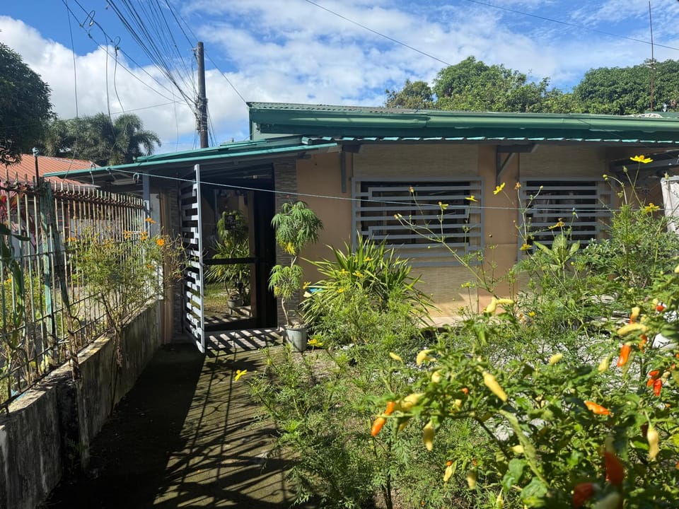 Property building, Garden, Garden view