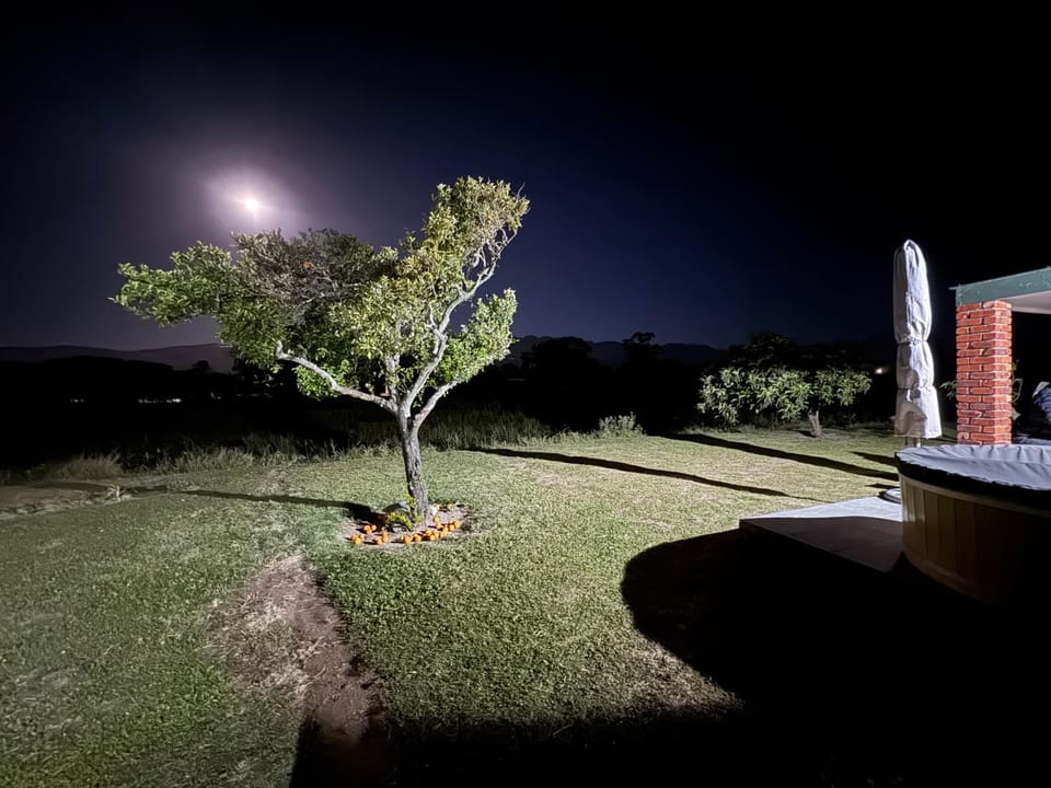 Night, Natural landscape, Garden
