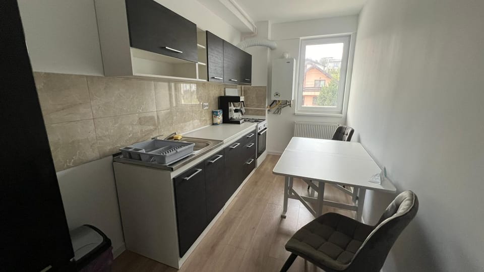 Apartament cu o camera Iasi Apartment in Romania