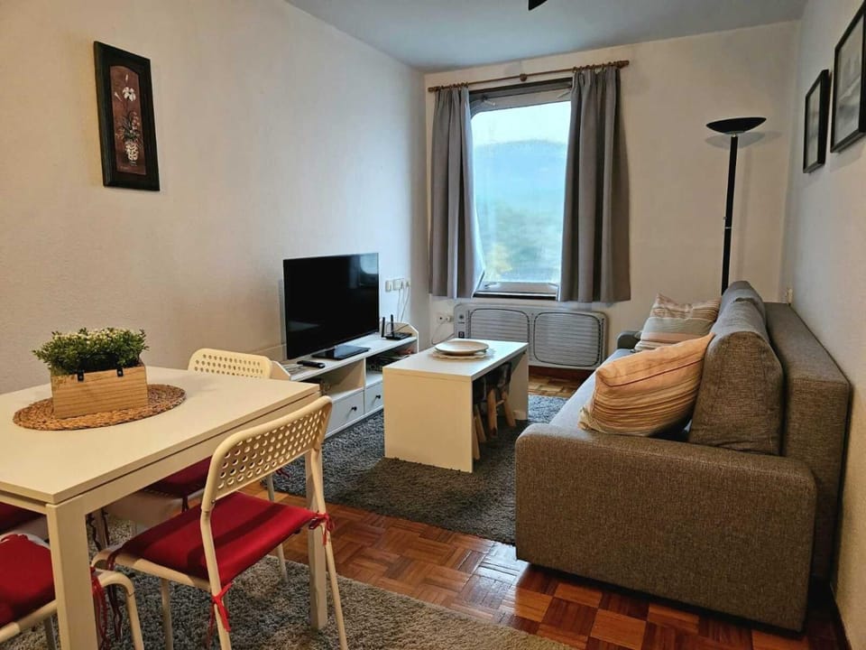 Manzaneda Natura T1 Apartment in Galicia