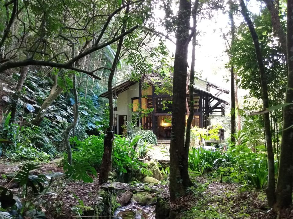 Um lugar para amar House in State of Rio de Janeiro