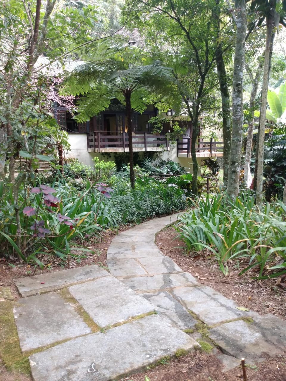 Um lugar para amar House in State of Rio de Janeiro