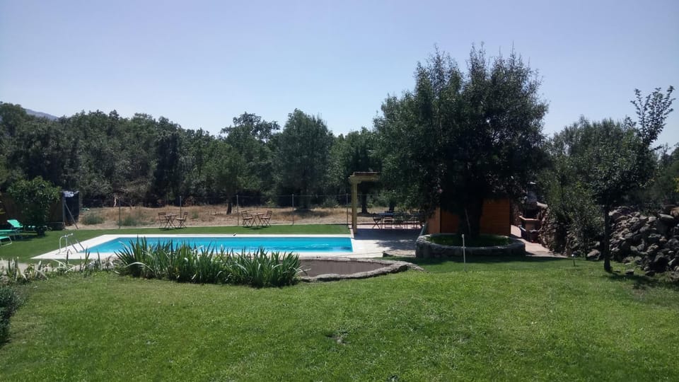 Natural landscape, Garden, Swimming pool