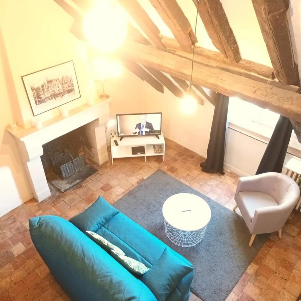 LE PLUM'LOFT, Duplex au cœur du Vieux Tours - Wifi - Tv Apartment in Tours