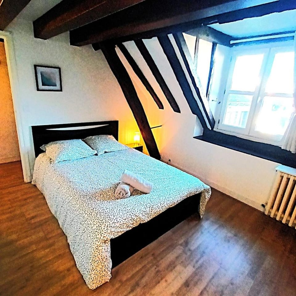 LE PLUM'LOFT, Duplex au cœur du Vieux Tours - Wifi - Tv Apartment in Tours