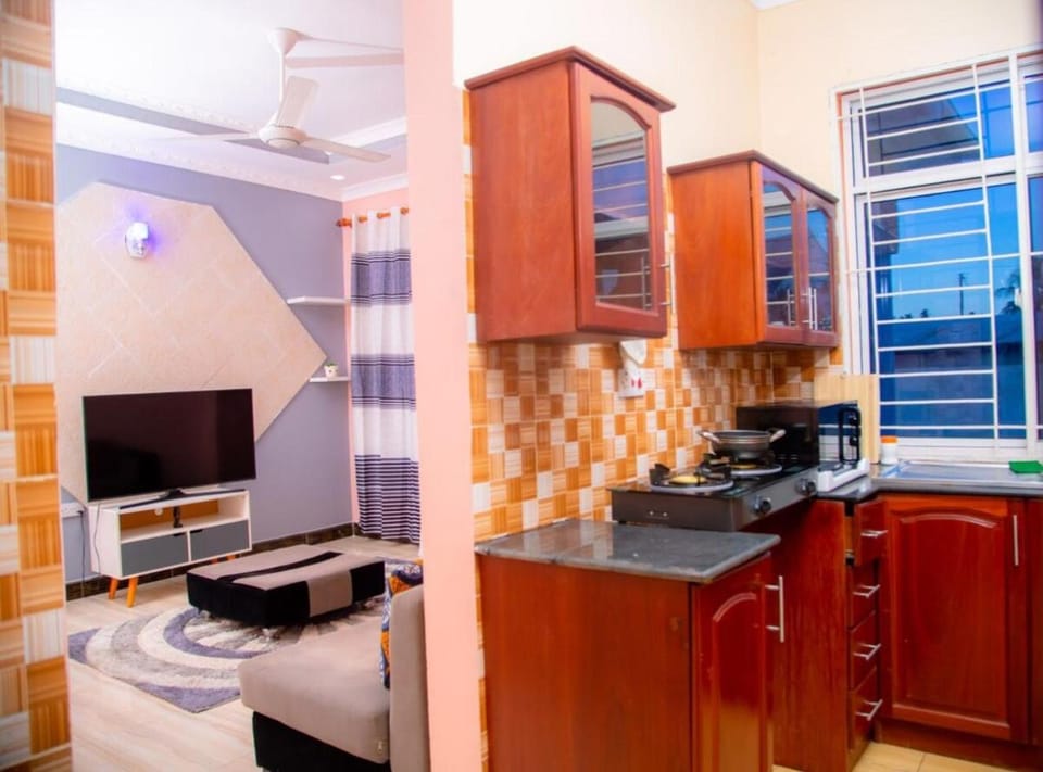 TV and multimedia, Kitchen or kitchenette, oven, stove