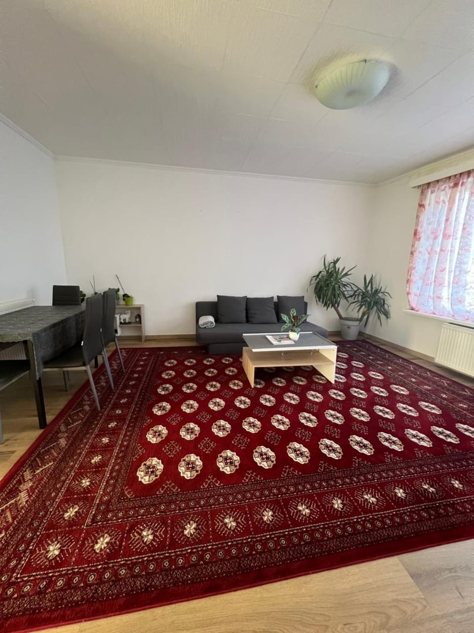 Cosy flat close to Ghent station Apartment in Ghent