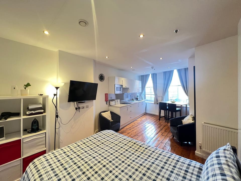 Bed, TV and multimedia, Kitchen or kitchenette, Photo of the whole room, Seating area, Bedroom