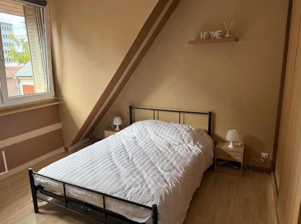 Magnifique appartement lumineux au cœur de Belfort Apartment in Bourgogne-Franche-Comté