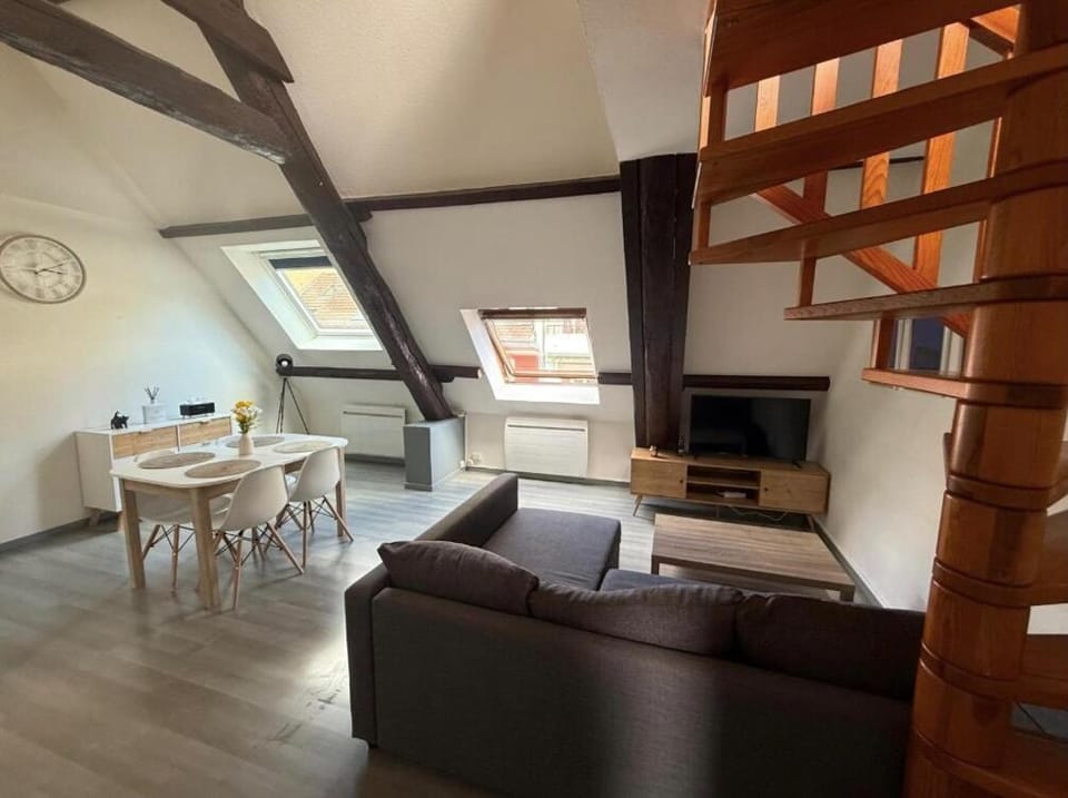 Magnifique appartement lumineux au cœur de Belfort Apartment in Bourgogne-Franche-Comté