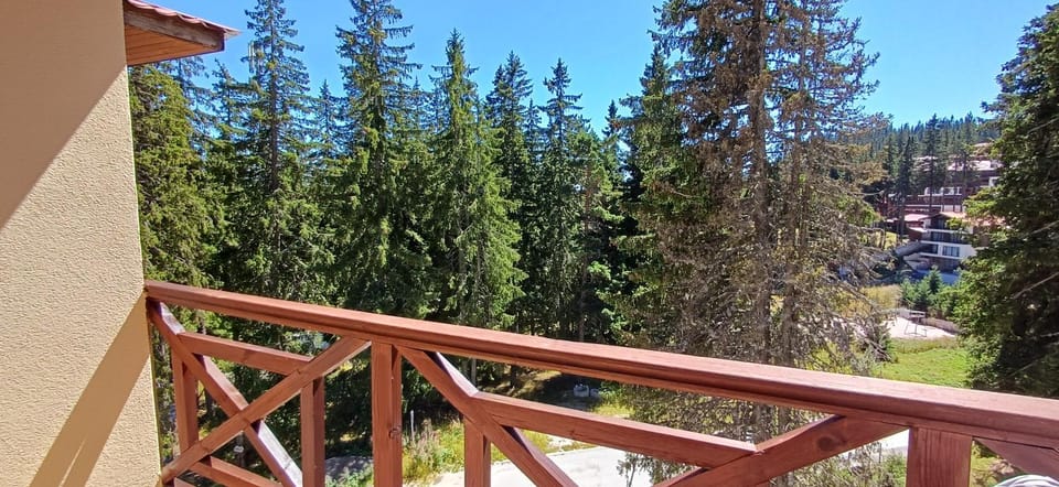 Day, Natural landscape, View (from property/room), Balcony/Terrace, Mountain view