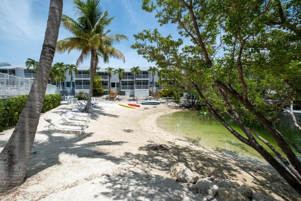 Tropical 2BR2BA Getaway in Gorgeous Key Largo, Marina, Saltwater Lagoon, Pool House in Key Largo