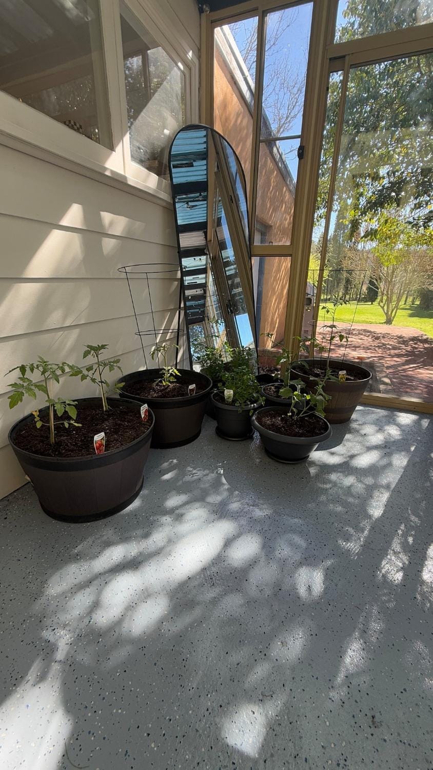 Garden view