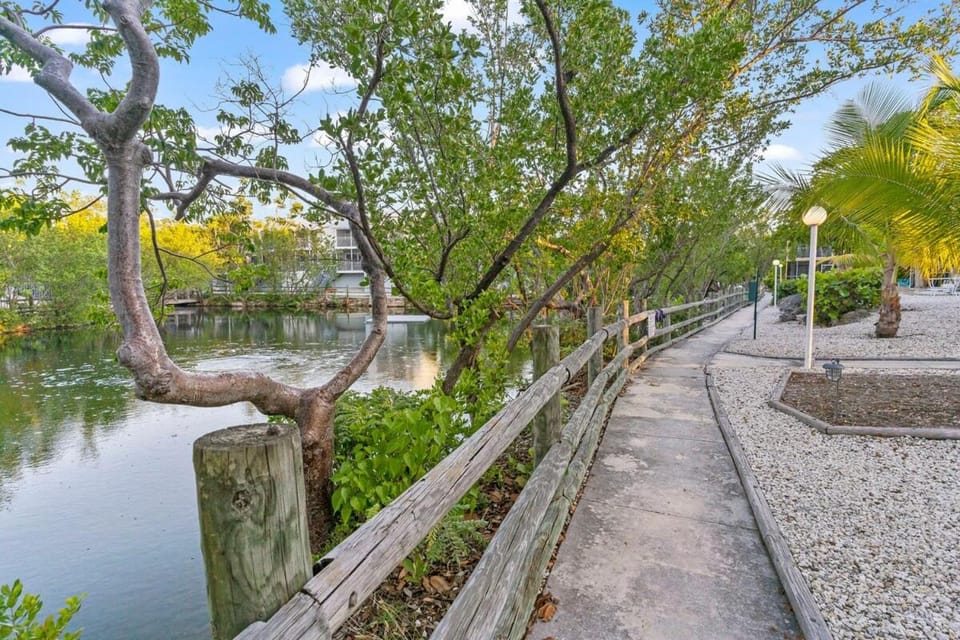 Natural landscape, Lake view