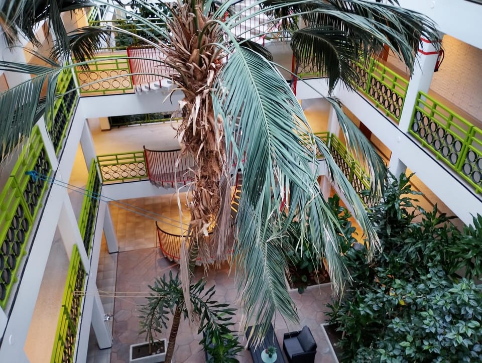 Garden view