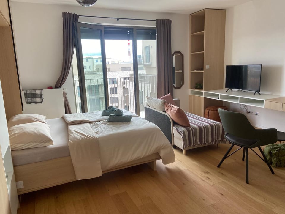 Modern 1BR with Gym Apartment in Brno