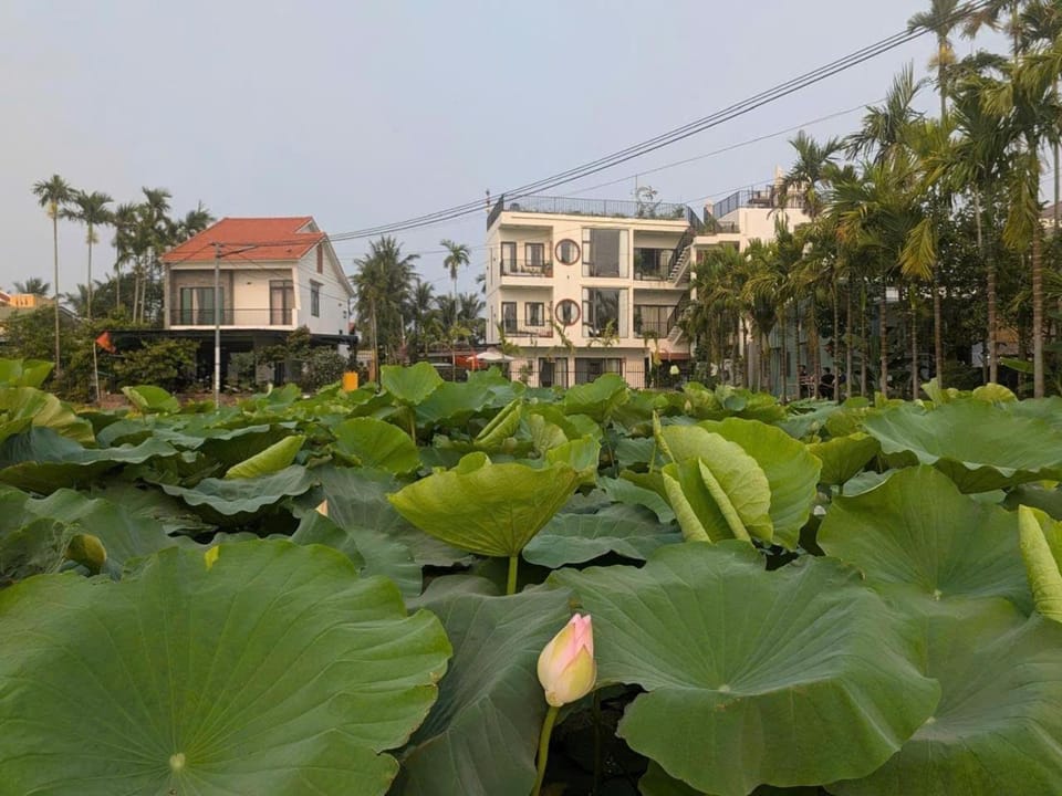 Property building, Natural landscape, Garden view