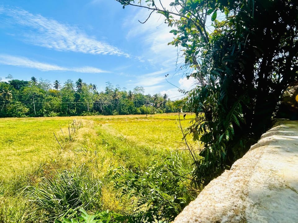 Nirvana Lodges Nature lodge in Southern Province