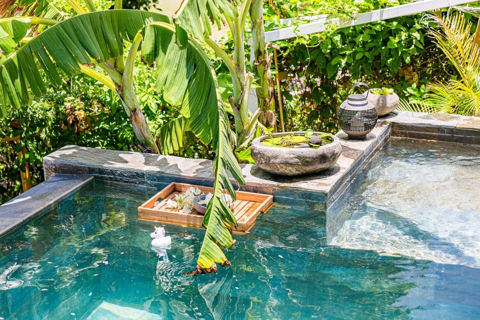 Day, Natural landscape, Garden, Garden view, Pool view, Swimming pool