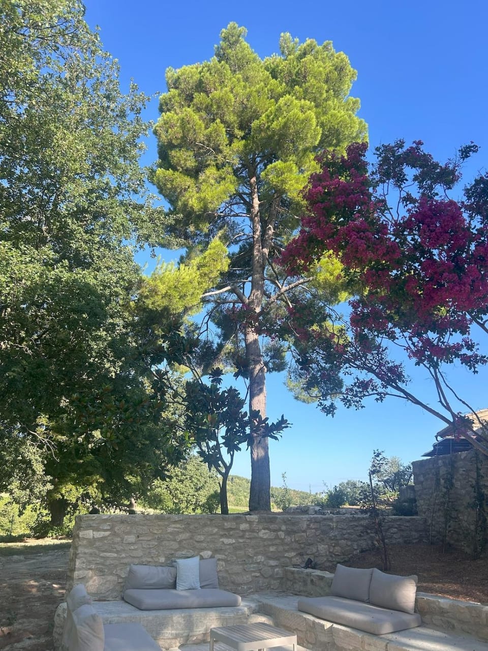 Garden, Garden view