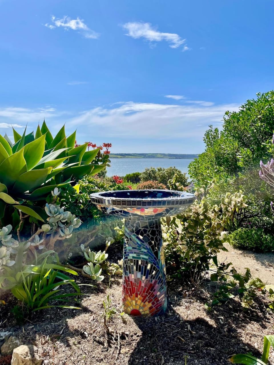 Garden view