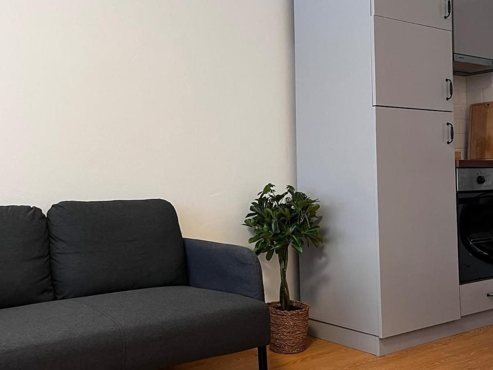Kitchen or kitchenette, Living room, Seating area, oven, stove